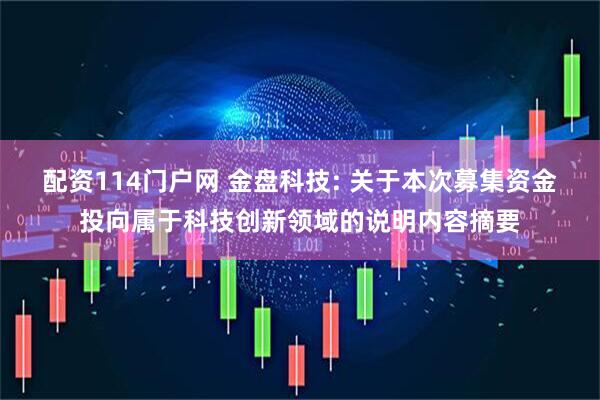 配资114门户网 金盘科技: 关于本次募集资金投向属于科技创新领域的说明内容摘要